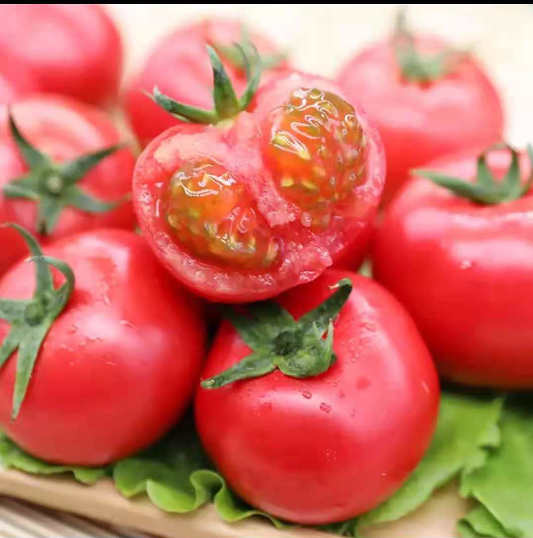 没有化肥自然熟透的西红柿